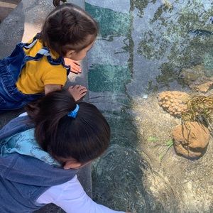 Meet your Posher, Adriana